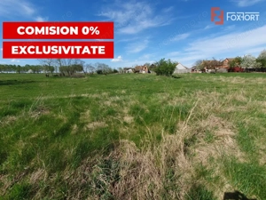 Comision 0% Teren intravilan 3000 mp in Padureni Jebel - imagine 6