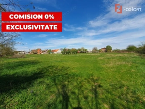 Comision 0% Teren intravilan 3000 mp in Padureni Jebel - imagine 8