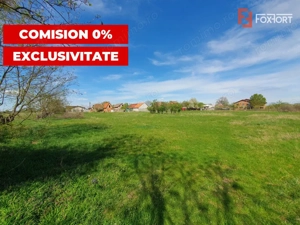 Comision 0% Teren intravilan 3000 mp in Padureni Jebel - imagine 7