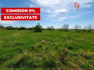 Comision 0% Teren intravilan 3000 mp in Padureni Jebel - imagine 4