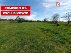 Comision 0% Teren intravilan 3000 mp in Padureni Jebel - imagine 3