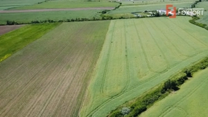 COMISION 0% Oportunitate de investitie in Sacalaz: Teren Extravilan de 9.900MP - imagine 2