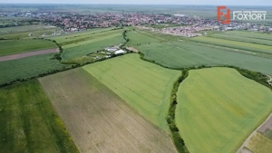 COMISION 0% Oportunitate de investitie in Sacalaz: Teren Extravilan de 9.900MP - imagine 4