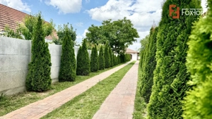 COMISION 0% Casa in stil mediteranean in Sag | 5 Camere - imagine 12