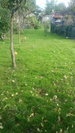 Direct propietar CASE+ GRADINA de vanzare