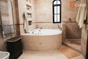 Proprietate unicata in stil clasic in Mosnita Noua - ID V7206 - imagine 16