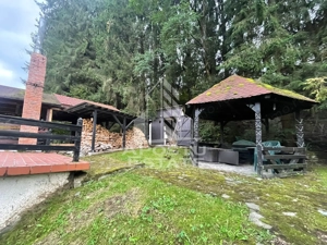 Vila tip duplex, P+1E+M, Poiana Marului - imagine 6