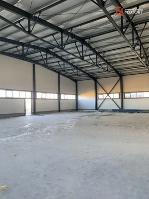 Hala industriala 600 mp, curte 1398 mp, parcare, toate utilitatile - Ghiroda - imagine 4