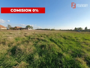 Comision 0% Teren intravilan de 3346 mp cu 2 fronturi - Jebel - imagine 5