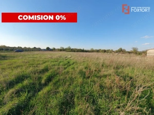 Comision 0% Teren intravilan de 3346 mp cu 2 fronturi - Jebel - imagine 3