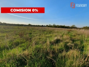 Comision 0% Teren intravilan de 3346 mp cu 2 fronturi - Jebel - imagine 4