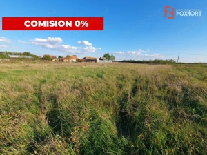 Comision 0% Teren intravilan de 3346 mp cu 2 fronturi - Jebel - imagine 6