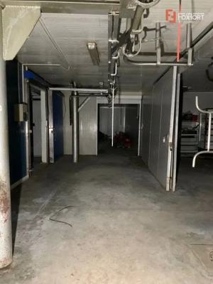 COMISION 0% Hala Industriala 500 mp cu Spatiu de Birou 200 mp in Buzias - imagine 5