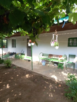 Casa bătrânească 2 corpuri + teren 3200 mp cu vie - loc. Mircea Voda, Tulcea