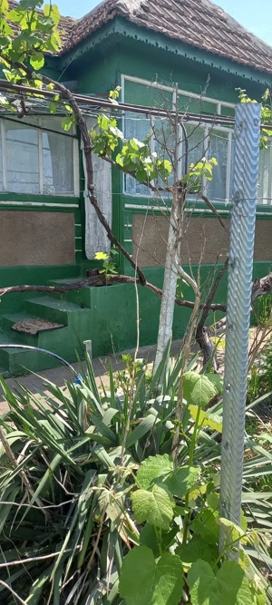 Casa bătrânească 2 corpuri - loc. Mircea Voda, Tulcea - imagine 3