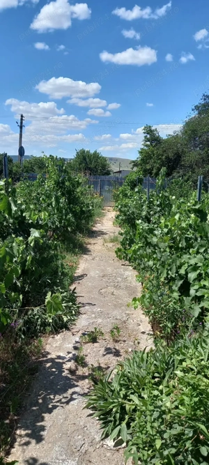 Casa bătrânească 2 corpuri - loc. Mircea Voda, Tulcea - imagine 5