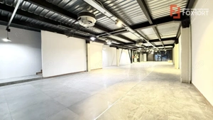 Showroom premium pe 2 nivele 560 mp, in zona Lipovei - imagine 3