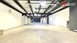 Showroom premium pe 2 nivele 560 mp, in zona Lipovei - imagine 2