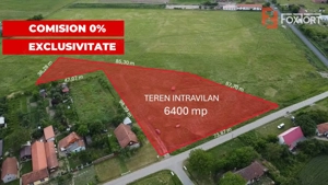 COMISION 0% Teren intravilan 6400 mp la drum asfaltat - Padureni