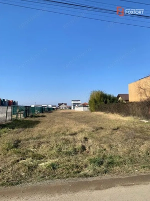 Teren 2244 mp in Dumbravita, toate utilitatile, ideal rezidential sau comercial - imagine 3