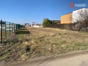 Teren 2244 mp in Dumbravita, toate utilitatile, ideal rezidential sau comercial - imagine 4