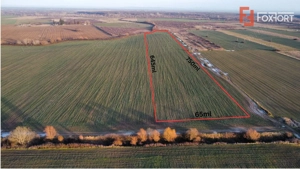 Teren extravilan arabil 50.890mp - aproape de centura Timisoara Sud