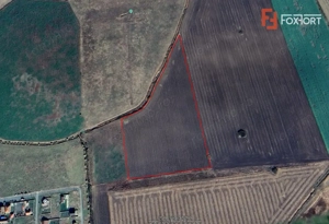 COMISION 0% Teren Extravilan Agricol, Beregsau Mare - Zona in dezvoltare - imagine 4