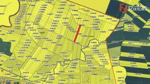 COMISION 0% Teren extravilan agricol, Sacalaz - 20.000 mp - imagine 5