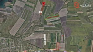 COMISION 0% Teren extravilan agricol, Sacalaz - 20.000 mp - imagine 3