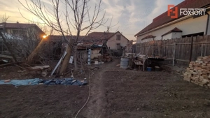 Casa individuala 3 camere, Mehala - Teren 1142 mp, zona linistita - imagine 12