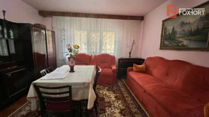 Apartament 2 camere de vanzare, zona Dambovita - imagine 13
