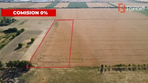 COMISION 0% Teren de vanzare intravilan de 24.700 mp - Padureni - imagine 4