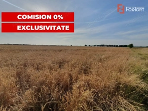 COMISION 0% Teren de vanzare intravilan de 24.700 mp - Padureni - imagine 11
