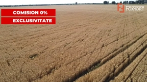 COMISION 0% Teren de vanzare intravilan de 24.700 mp - Padureni - imagine 10