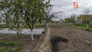 Casa individuala 3 camere, Sanmihaiu Roman - Anexe, 2385 mp teren - imagine 15