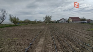 Casa individuala 3 camere, Sanmihaiu Roman - Anexe, 2385 mp teren - imagine 14