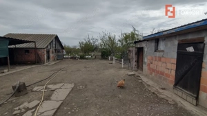 Casa individuala 3 camere, Sanmihaiu Roman - Anexe, 2385 mp teren - imagine 11