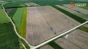 COMISION 0% Teren intravilan 40.600 mp cu front de 84,5 ml, zona Bucovat - imagine 5