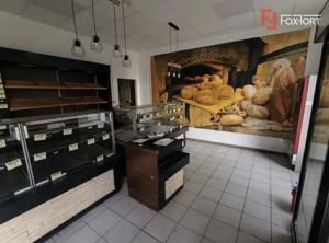 Casa individuala 3 camere, garaj + Spatiu comercial, Freidorf - imagine 16