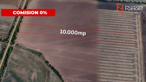 COMISION 0% Teren extravilan agricol 1 ha, Beregsau Mare - Pozitionare excelenta - imagine 2