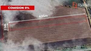 COMISION 0% Teren extravilan agricol 1 ha, Beregsau Mare - Pozitionare excelenta