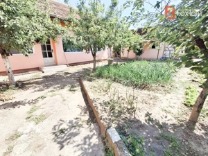 Casa individuala de vanzare in Timisoara, zona Crisan - imagine 13