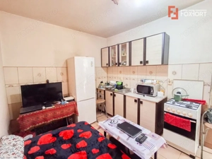 Apartament cu 2 camere de vanzare in Timisoara la curte comuna, zona Elisabetin - imagine 5