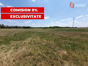 COMISION 0% Teren de vanzare intravilan de 5000 mp in Chisoda - imagine 6