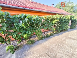 COMISION 0% - Casa individuala 5 camere cu teren 1348 mp - Giarmata - imagine 2