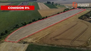 COMISION 0% Teren intravilan de 20.000 mp, front de 52 ml, zona Sag - imagine 4