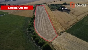 COMISION 0% Teren intravilan de 20.000 mp, front de 52 ml, zona Sag - imagine 6