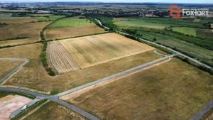 COMISION 0% Teren industrial cu utilitati, acces TIR - Mosnita - imagine 5