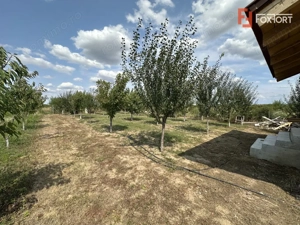 COMISION 0% Casa individuala cu 3 camere si teren de 752 mp -  Mosnita - imagine 8