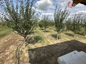 COMISION 0% Casa individuala cu 3 camere si teren de 752 mp -  Mosnita - imagine 9